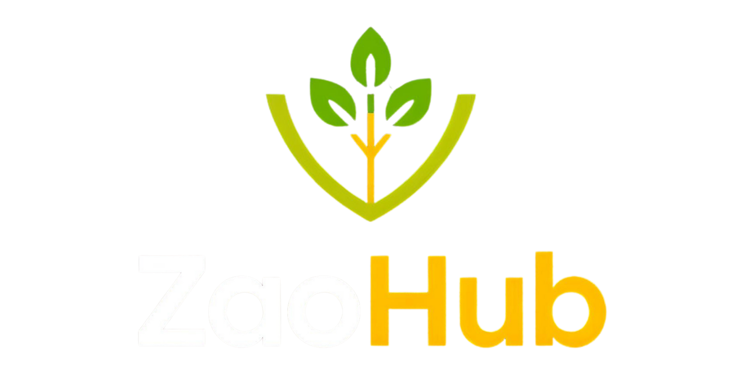 ZaoHub Logo